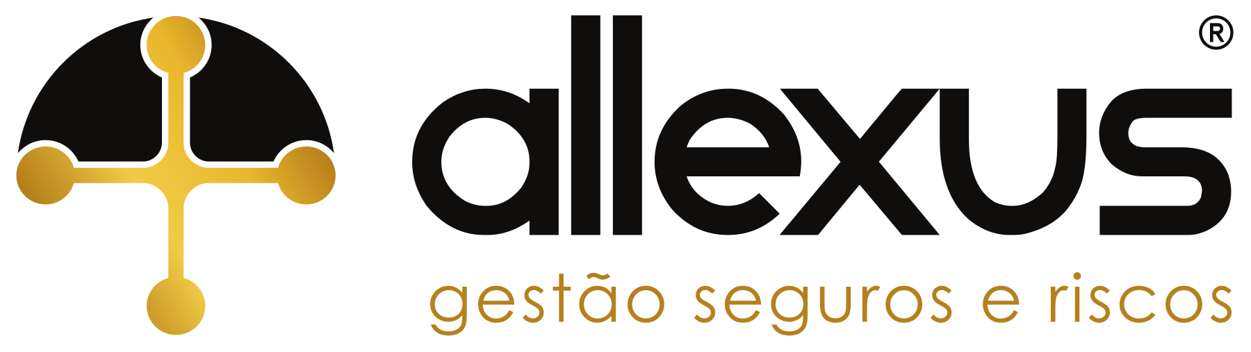 Allexus — Gestão, seguros e riscos